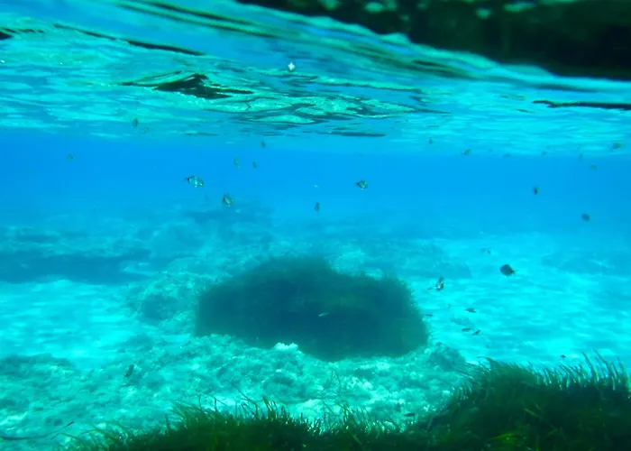 Brezza Marina Affittacamere