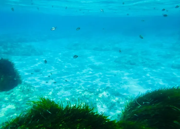 Brezza Marina 3* Càbras