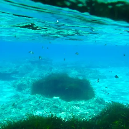 Brezza Marina Pensionat