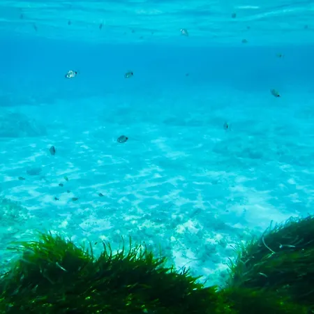 Brezza Marina 3* Càbras